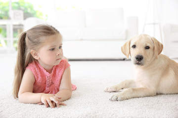 Cute child with Labrador Retriever at home