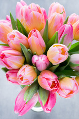 Obraz premium Tulip, flowers on the grey background.