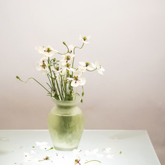 White poppies with beautiful details