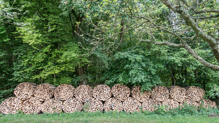 Brennholzlager © focus finder