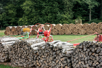 Brennholzlager © focus finder