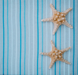 Starfish on a blue striped background