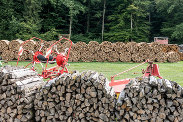 Brennholzlager © focus finder