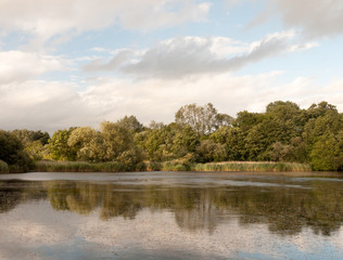Fototapeta na wymiar sunset scene over a lake with ducks and trees reflected