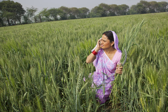 Indian female farm worker talking on cell phone while working in field 
