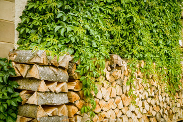 Brennholz © focus finder