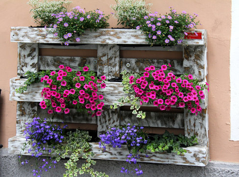 pallet fiorito in via Citt&agrave; Nuova a Vipiteno