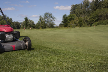 Golf. Lawnmower on the putting green.