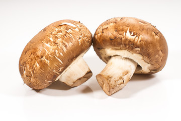 A pair of brown champignon mushrooms isolated on a white background