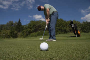 A golfer rolls a golf ball into the hole.