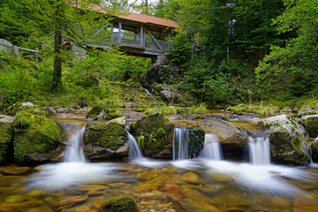 die Teufelsmühle am Flüsschen Rotmurg im Nationalpark Schwarzwald
