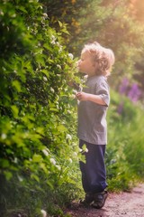 Happy little boy playing outdoor in summer forest