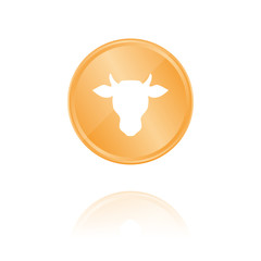 Kuhkopf Bronze Münze mit Reflektion