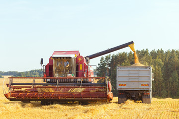 The harvester is bulk harvested grain