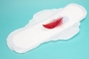 Big menstrual woman pad for hygiene in blood period. Menstruation sanitary pad and red feather,...