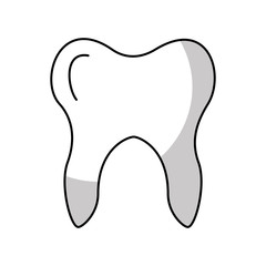 Human tooth isolated icon vector illustration design