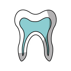 Human tooth isolated icon vector illustration design