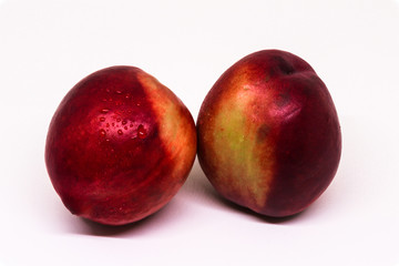 two whole nectarine fruits isolated on white background with clipping path