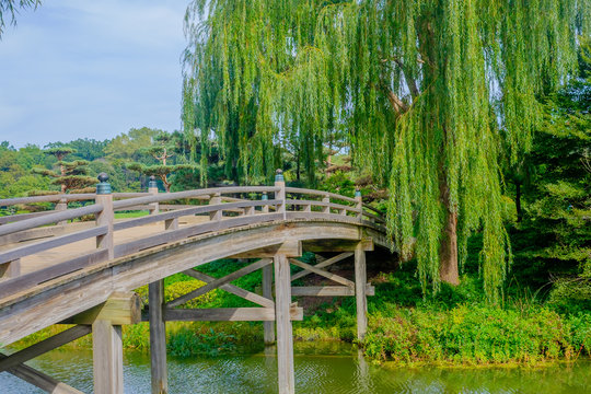 Wooden Bridge Sideview With Trees