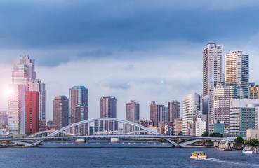 Fototapeta premium 東京の海