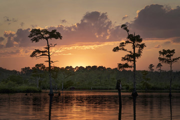 Sunset at West Neck Marina