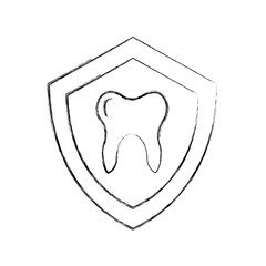 shield with Human tooth isolated icon vector illustration design