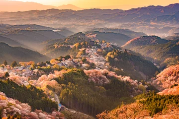 Rolgordijnen Yoshinoyama, Japan in Spring © SeanPavonePhoto