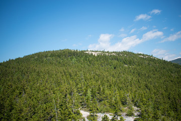 Views from Mount Welch