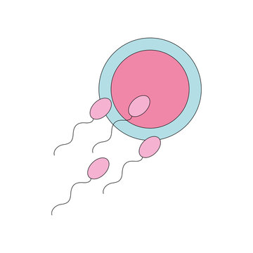 Fertilizing sperm isolated icon vector illustration design