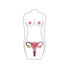 female torso with reproductive organ vector illustration design