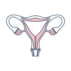 Female reproductive organ icon vector illustration design