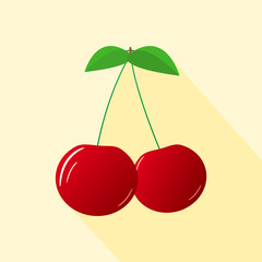 Cherries on a branch.
