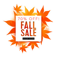 Fall sale. Realistic autumn maple leaves with text. Momiji. Vector illustration isolated on white.