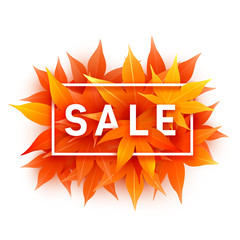 Fall sale. Realistic autumn maple leaves with text. Momiji. Vector illustration isolated on white.