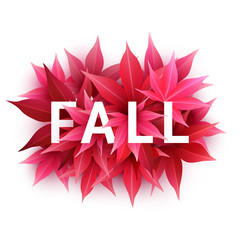 Fall sale. Realistic autumn maple leaves with text. Momiji. Vector illustration isolated on white.