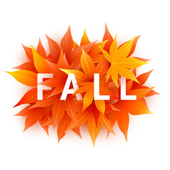 Fall sale. Realistic autumn maple leaves with text. Momiji. Vector illustration isolated on white.