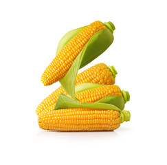 Ear of corn isolated on a white background