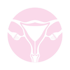 Female reproductive organ icon vector illustration design