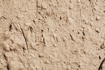 Wet mud texture, closeup shot, abstract background
