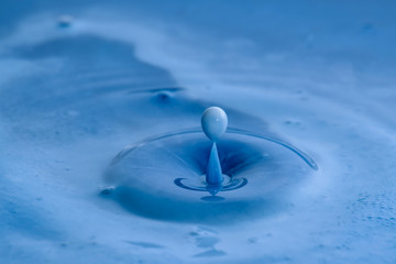 Macro water drop 044