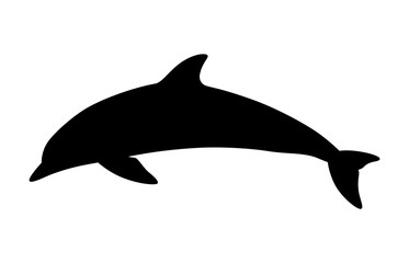 Dolphin aquatic mammal vector icon for animal apps and websites 