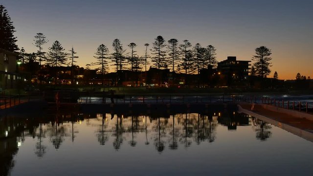 Pine Tree Reflection Sunset