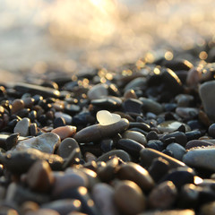 Sea shore and sea glass.