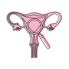 Female reproductive organ with magnifying glass vector illustration design