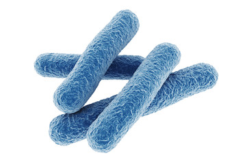 bacteria.
3d rendering of a bacteria.