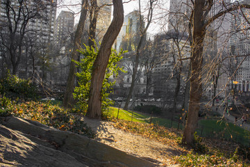 New York Central Park 