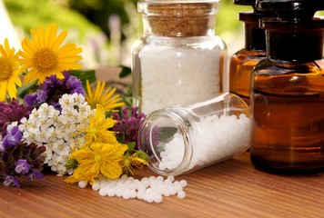 Heilkräuter, Schafgarbe, Johanniskraut