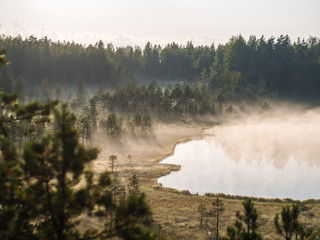 mist over a swamp and lake