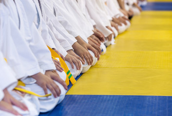 Group of children in kimono sitting on tatami in a line