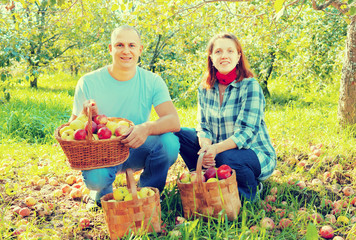 Happy couple with  harvested apples